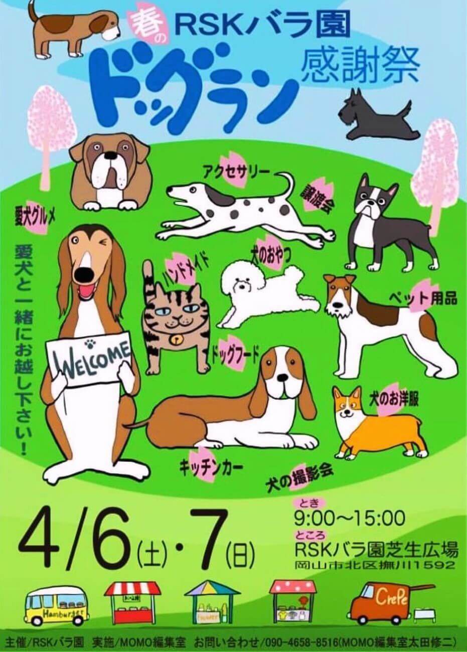 file-11