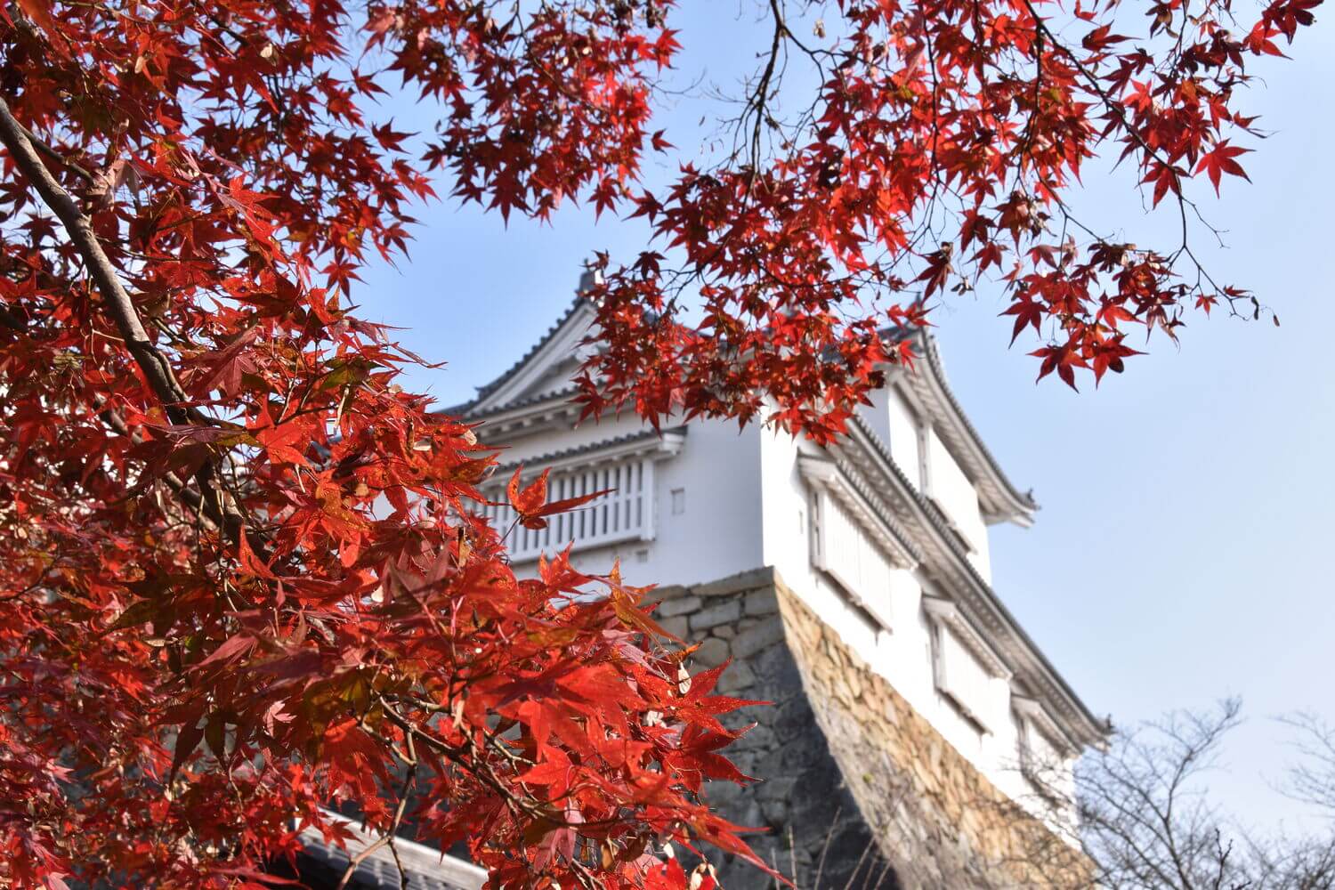 津山城備中櫓と紅葉