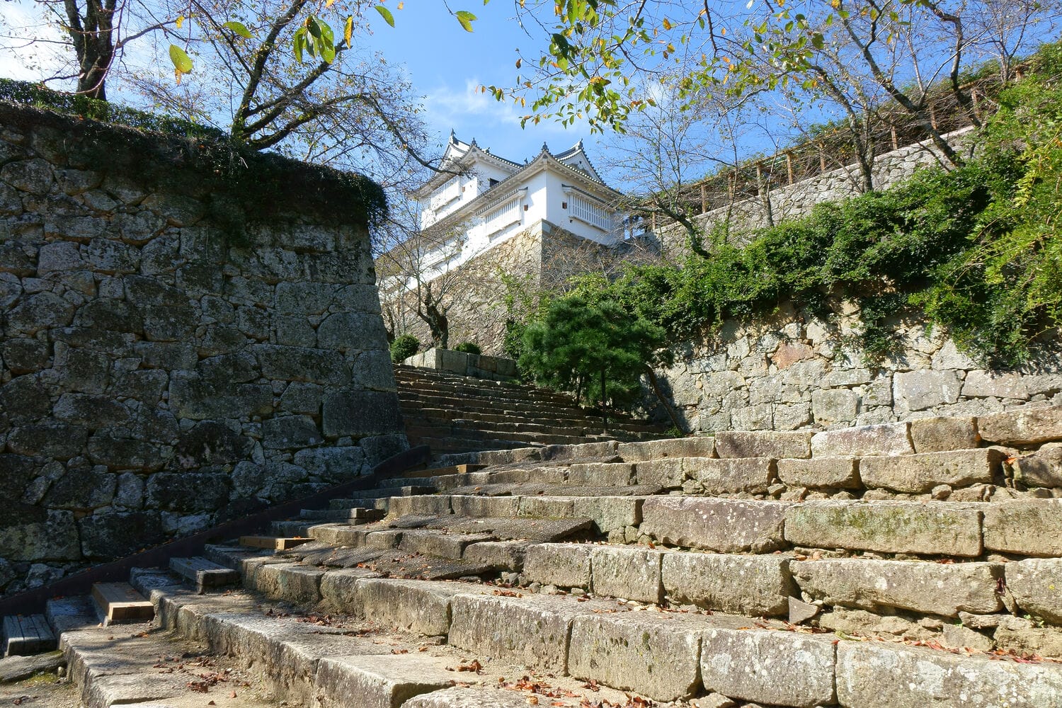 Slide Image