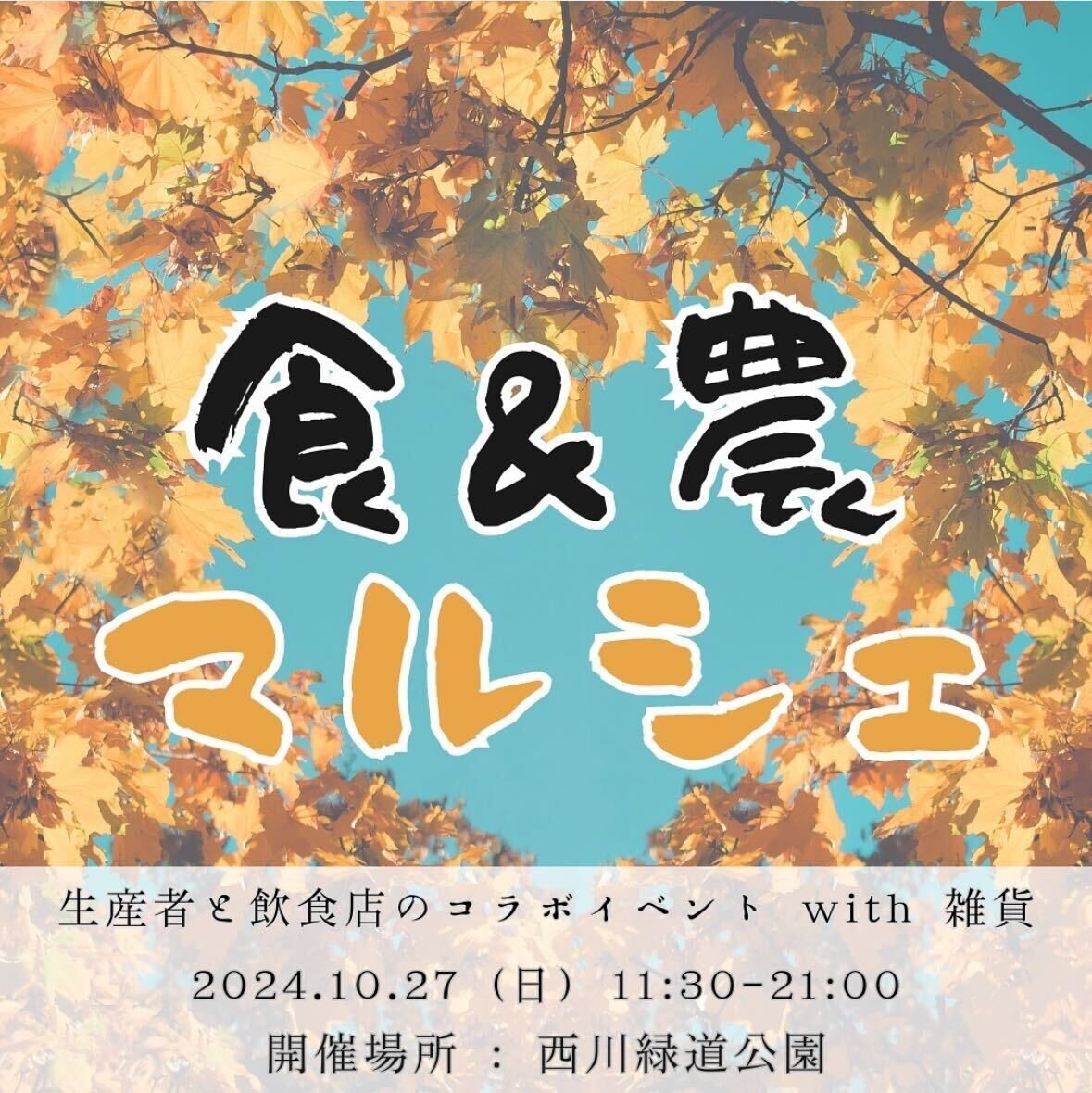file-37