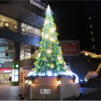 クレド クリスマスツリー