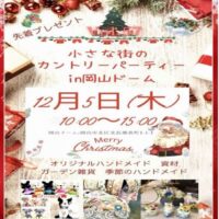 小さな街のカントリーパーティ in 岡山ドーム