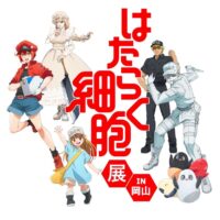 はたらく細胞展 in 岡山