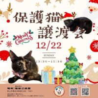 保護猫 譲渡会