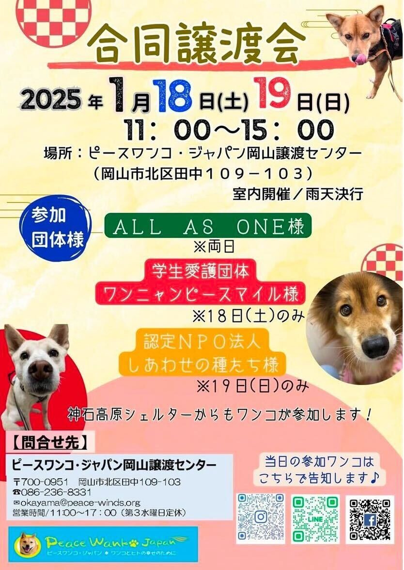 file-38