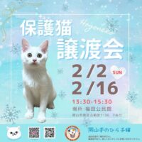 岡山手のひら子猫 保護猫 譲渡会