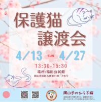 岡山手のひら子猫 保護猫 譲渡会