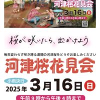 児島湖 花回廊 河津桜花見会 2025