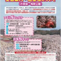 井原桜まつり