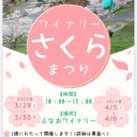 ワイナリーさくらまつり