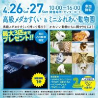 高級メダカすくい＆ミニふれあい動物園