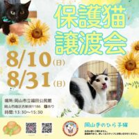 岡山のイベント情報：岡山手のひら子猫  8月の保護猫譲渡会