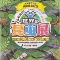 岡山のイベント情報：天満屋百貨店100周年記念 世界の昆虫展