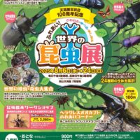 岡山のイベント情報：天満屋百貨店100周年記念 世界の昆虫展