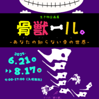 岡山のイベント情報：企画展「骨獣ール。」