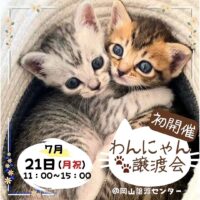 岡山のイベント情報：わんにゃん譲渡会（岡山譲渡センター）