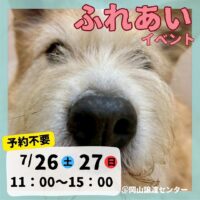 ピースワンコジャパン 保護犬ふれあいイベント