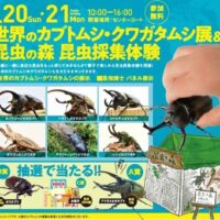 岡山のイベント情報：世界のカブトムシ・クワガタムシ展＆昆虫の森 昆虫採集体験