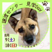 岡山のイベント情報：譲渡センター見学Day