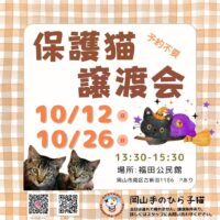 保護猫譲渡会　～岡山手のひら子猫～