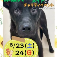 岡山のイベント情報：保護犬とハンドメイドのチャリティイベント