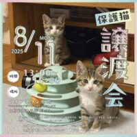 保護猫譲渡会 in イオンタウン水島