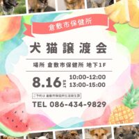 倉敷市保健所　犬猫譲渡会