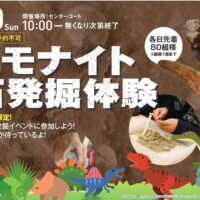 アンモナイト化石発掘体験