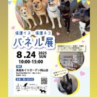 保護イヌ・保護ネコ　パネル展