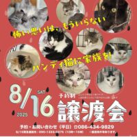 倉敷市保健所✕倉敷猫まもりの会　譲渡会