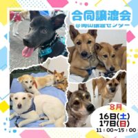 合同譲渡会＠岡山譲渡センター