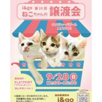 i＆go第20回ねこちゃんの譲渡会