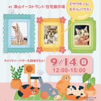i＆go第19回ねこちゃんの譲渡会