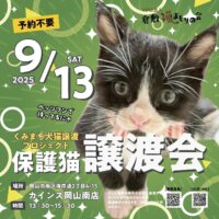 岡山市✖️くみまち犬猫譲渡プロジェクト　保護猫譲渡会