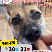 保護犬ふれあいイベント＠岡山譲渡センター