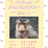 「マディ」のお誕生日会