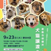 倉敷市保健所　犬猫譲渡会