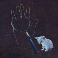 白虎さんの手相鑑定【完売いたしました】