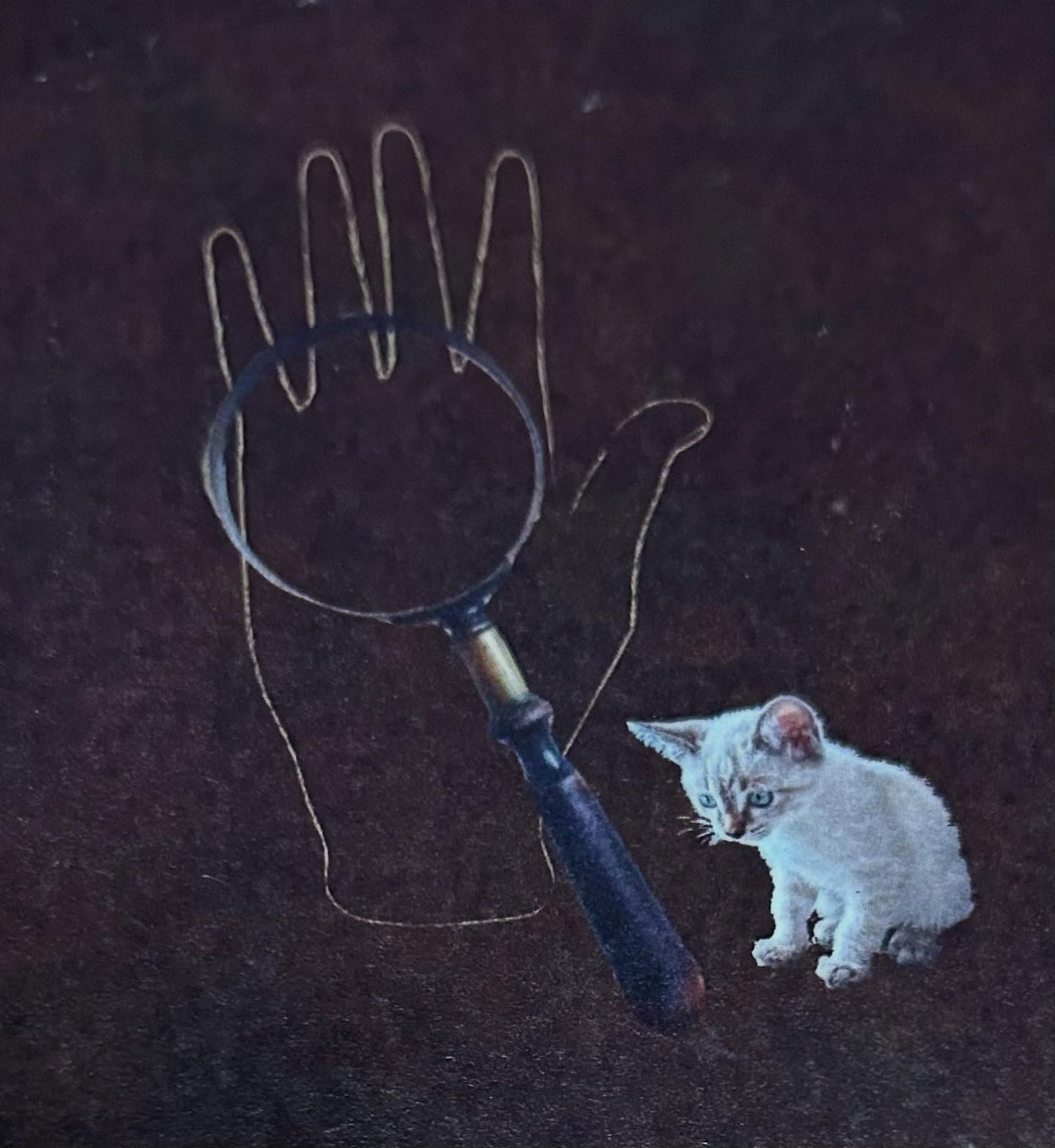 555053670_18529550029032894_5538818219597821574_n