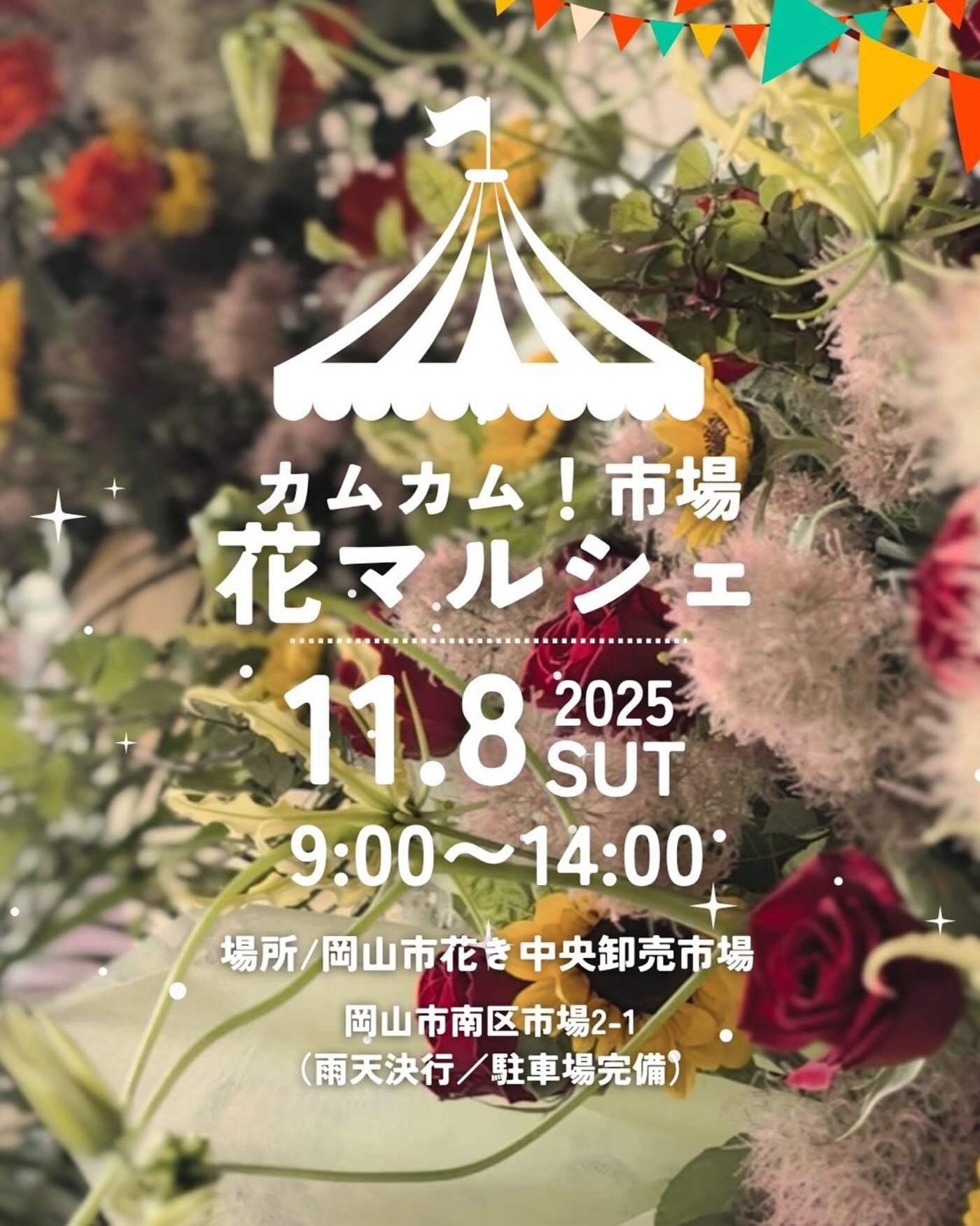 561211254_17901814437272331_2410451387127802614_n