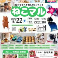 ねこマル