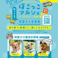 OKAYAMAほごっこマルシェvol.4