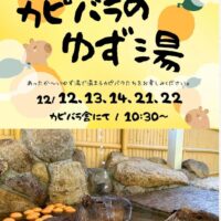【冬至イベント】カピバラのゆず湯