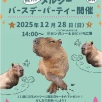 メルシー バースデーパーティー