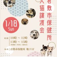 倉敷市保健所 犬猫譲渡会