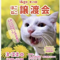 i &go 第25回 ほごねこ譲渡会