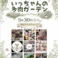 いっちゃんの多肉ガーデン