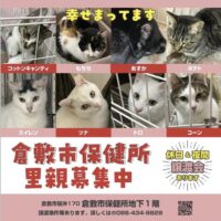 倉敷市保健所 休日譲渡会