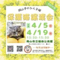 岡山のイベント情報：岡山手のひら子猫 4月保護猫譲渡会