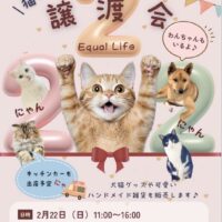 Equal Life 第6回 譲渡会
